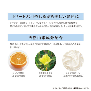 エブリカラートリートメント 03