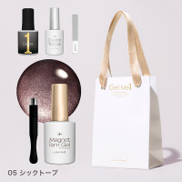 【1,020ポイントバック】マグネットジェル スペシャルセット / 05シックトープ / 10ml、12ml、10ml、1本