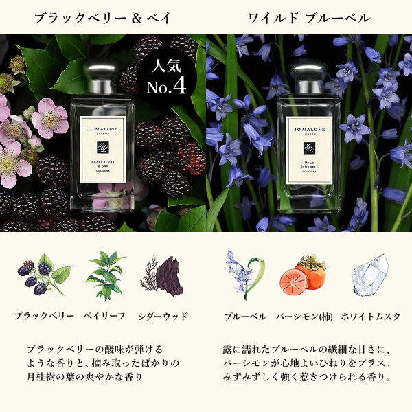 【お一人様1点限り】【次回使用可能なクーポン付き】コロン ディスカバリー コレクション / 1.5mL × 5 1