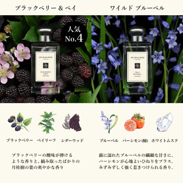 【お一人様1点限り】【次回使用可能なクーポン付き】コロン ディスカバリー コレクション 05