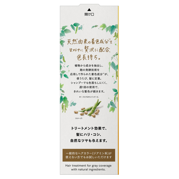 ナチュリラ 色長持ちカラートリートメント / ブローネ(白髪染め
