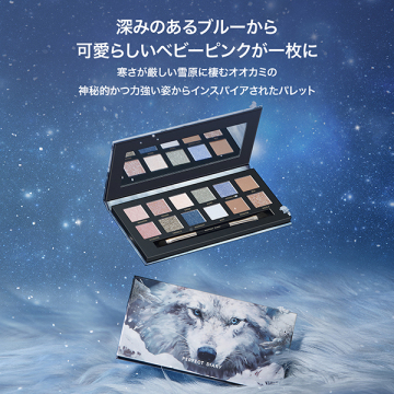 エクスプローラ12色アイシャドウパレット 02