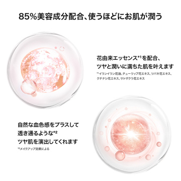 エッセンスコンシーリングUVクッションファンデーション 02