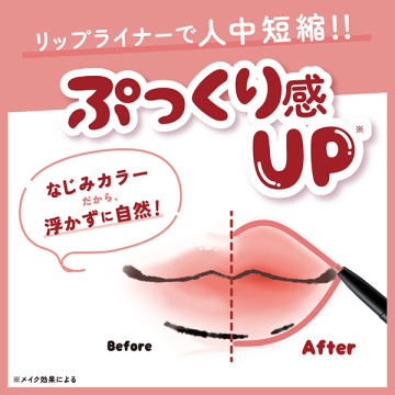 リップライナーN 04