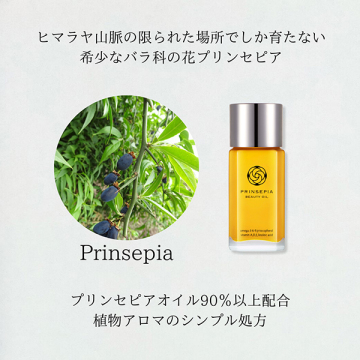 @cosme限定 PSオイル&洗顔付きセット 02