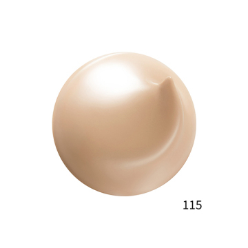 ザ ファンデーション スターター キット A 115 04