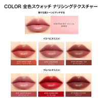 ♦️アンファティ　リップケア　旧箱6本　　資料4種〜 バイオリップ エッセンス リップスティック / Perfect Diary(口紅