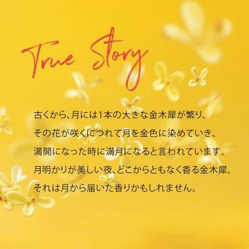 オスマンサスハンドクリーム 04