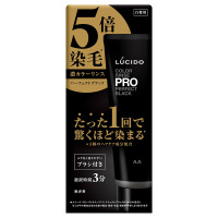 カラーリンスプロ パーフェクトブラック / 120g