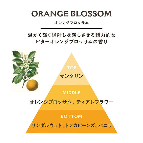 パフュームドソープ / パニエデサンス(ボディ石鹸, ボディケア)の通販