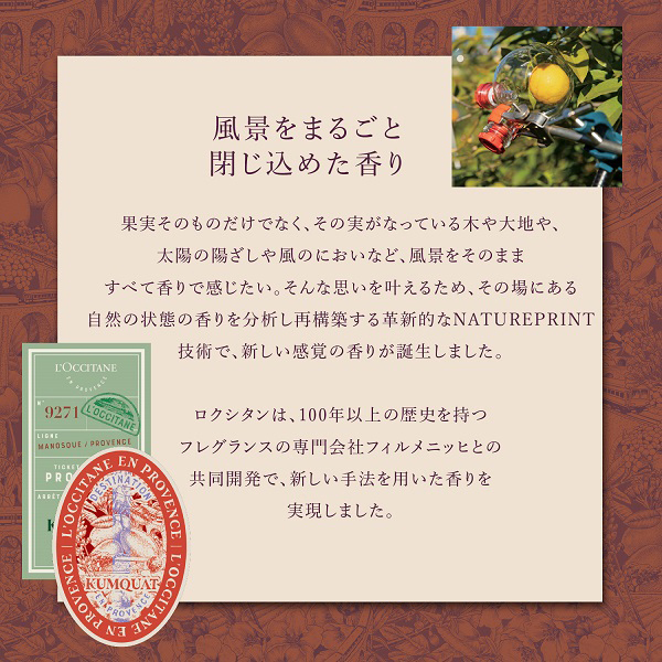 ハンドクリーム GIFT FOR YOU / ロクシタン(ハンドクリーム, ボディ