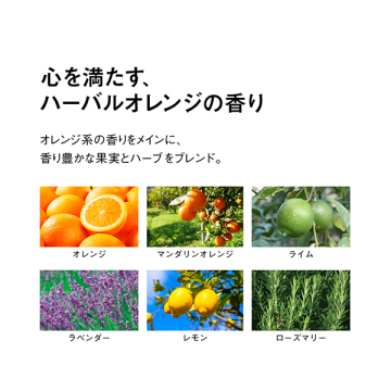 【数量限定】ザ・バーム OR 03
