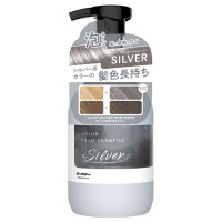 エブリカラーフォームシャンプー / 本体 / シルバー / 250ml