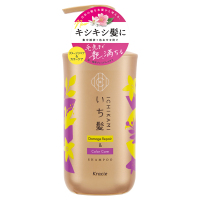 シャンプー ichi Amazon | いち髪 【カラーケア】 ベーストリートメント in