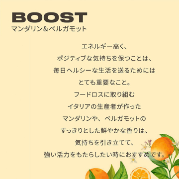 ブースト ディスカバリー 03