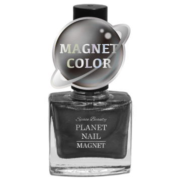 PLANET NAIL マグネットネイル