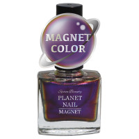 PLANET NAIL マグネットネイル / PLM04 シークレットパープル / 10ml