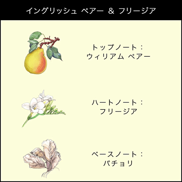 限定ハートボックス入り】イングリッシュ ペアー&フリージア