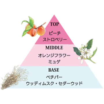 パフューム&フレグランスハンドクリームセット 05
