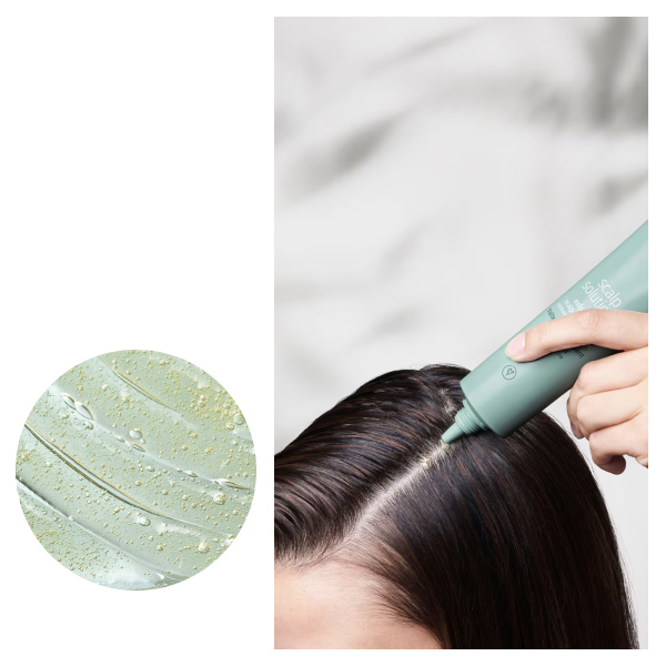 パドルブラシ+スカルプケア セット / AVEDA(アヴェダ)(ヘアケアキット