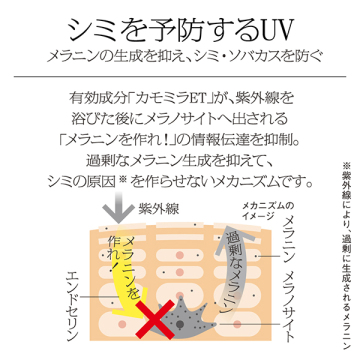 スキンケアUV 03 シミができやすい肌環境 05