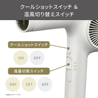 プロフェッショナル プロテクトイオン ヘアードライヤー / テスコム