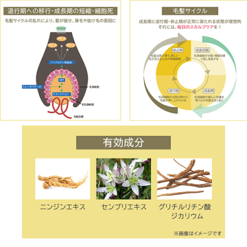 薬用頭皮ケアトニックD【医薬部外品】 04