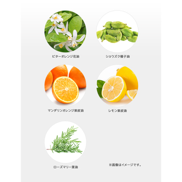 JLP バランスコントロールクレンジング 04