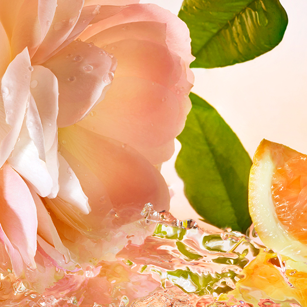 ランコム　イドルオードトワレ　25ml✖️4個 楽天市場】【公式】イドル オー ドゥ トワレ / 25ml / 50ml