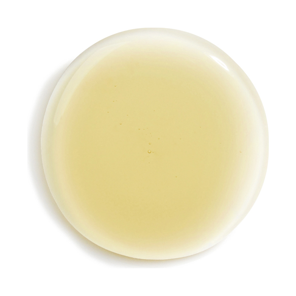 ヘア リチュアル ストレートニング シャンプー / シスレー(シャンプー