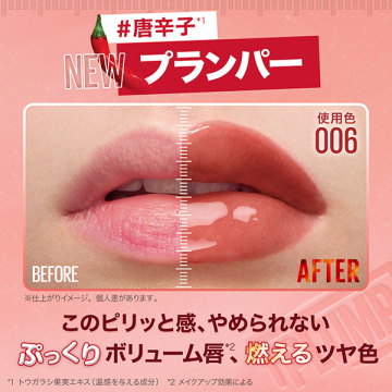 リフタープランプ L 04