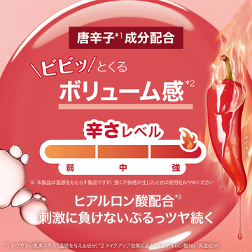 リフタープランプ L 05
