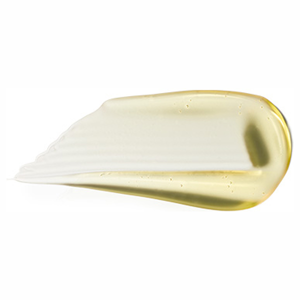 リップガラス ブロウ / ジンジャ ジンガー / 5ml 1