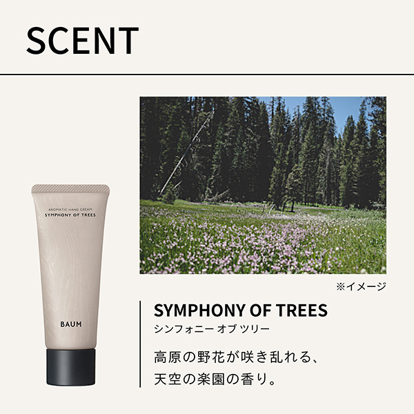 BAUM シンフォニーオブツリー 香水　アロマティックハンドクリーム Amazon.co.jp: BAUM（バウム） アロマティック ハンドクリーム 3