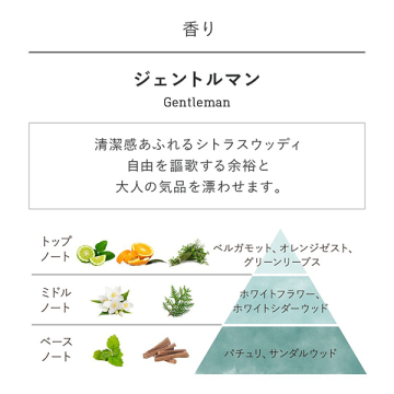【おひとり様3点まで】ファブリックミスト ジェントルマン 02