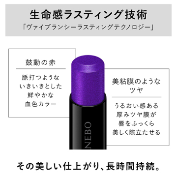ルージュスターヴァイブラント 05