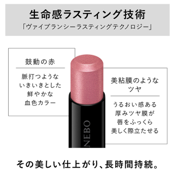 ルージュスターヴァイブラント 05