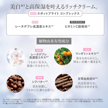〈レーヌデプレ〉ブライトモイスチャーリッチクリーム 03
