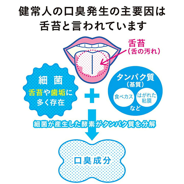 舌クリーナー / 1本 1