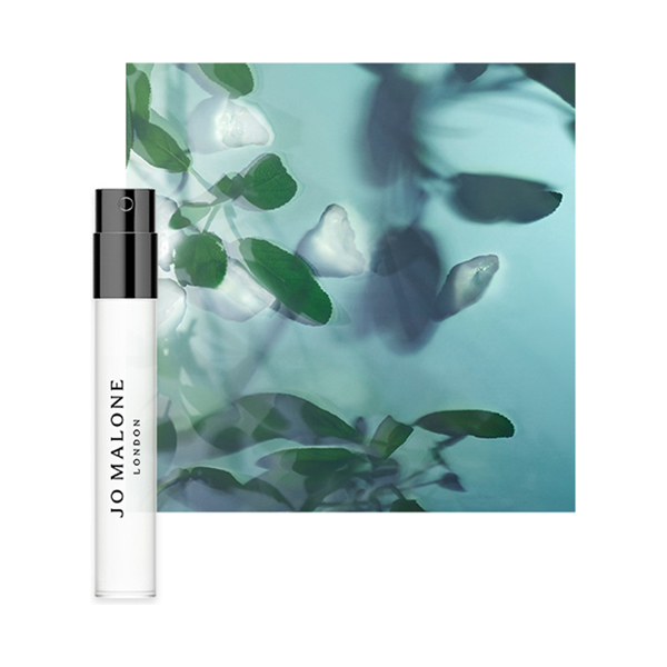 ボディ クレーム ギフトセット / 50mL、1.5mL 1