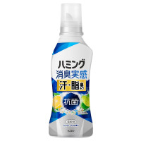 消臭実感 汗・脂臭タイプ / 本体 / 500ml / クリアシトラスの香り