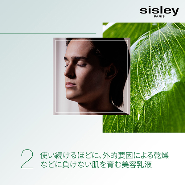 シスレートライアルセット　5個セット cosme限定】エコロジカル コムパウンド トライアル セット
