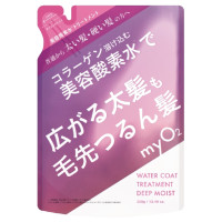 詰替え / 380g