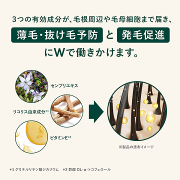 ボリューム&ストレングス トライアルプラス 03