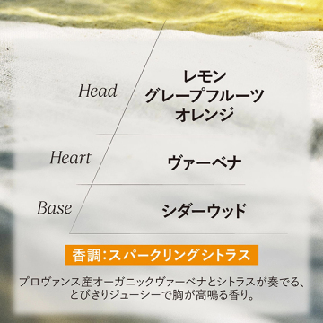 シトラスヴァーベナ アイスハンドクリーム 02