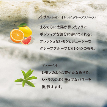 シトラスヴァーベナ アイスハンドクリーム 03