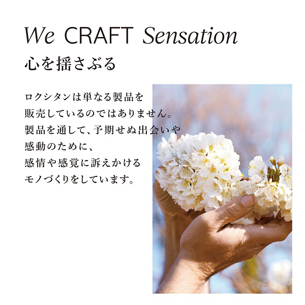チェリーブロッサム ソフトハンドクリーム / ロクシタン(ハンド