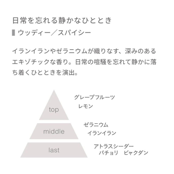 イブニングPシャンプー N 04