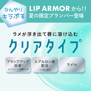 【入荷次第販売開始】アイスアーマー 04