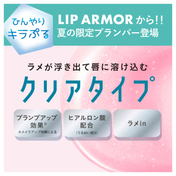【入荷次第販売開始】アイスアーマー 04